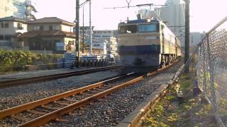 EF65 501+旧型客車2両+EF60 19 P&P清水谷戸