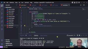 Exercício 5 (Java) - Verificação do Tipo de Triângulo