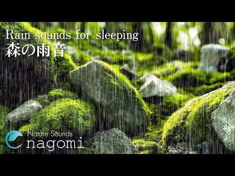 【ASMR自然音】雨の音・優しく降る雨音｜癒しの森の自然音が心地よい｜勉強・集中・睡眠・作業用｜環境音・雨の音でリラックス・眠れない夜に｜rain sounds for sleeping