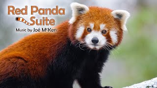 Red Panda Suite screenshot 2