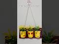 DIY Wall Hanging Planter Craft #shorts #ytshorts #diy #craft #walldecor