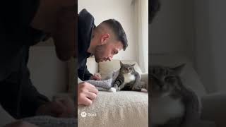 venga a levantarse que hay que levantar el país #humor #soralife #funny #sora #cat #comedy #pets