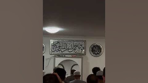 من صلاة التراويح ماتيسر من سورة الدخان الليلة 24 مسجد الإخلاص ألمانيا شتوتغارت