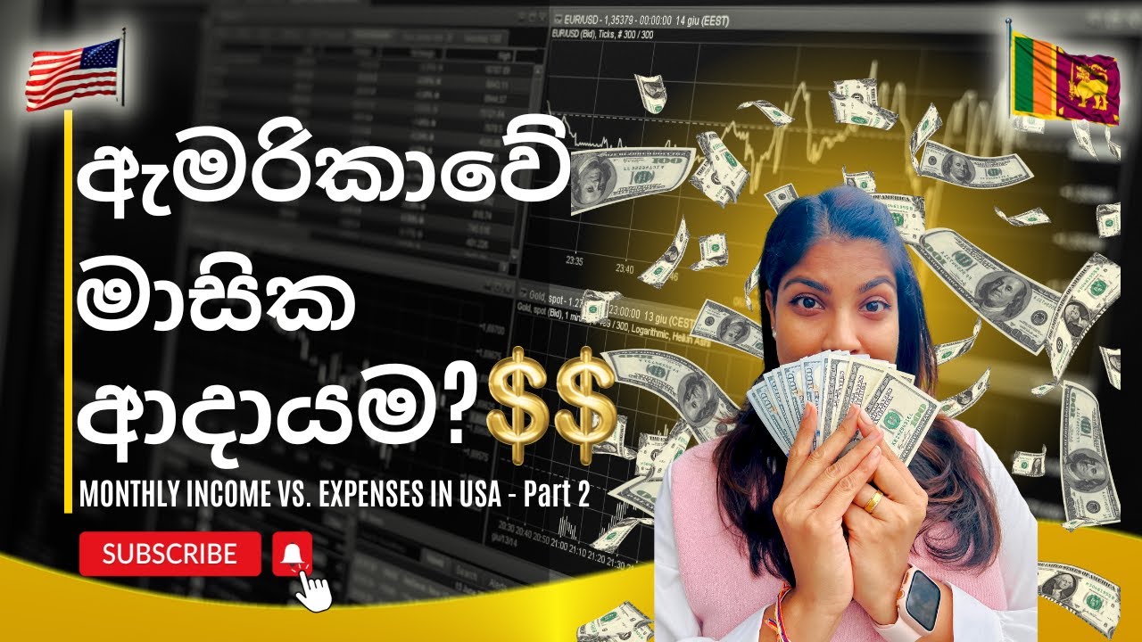 💰ඇමරිකාවේ මාසික ආදායම🤑INCOME & EXPENSES in 🇺🇸💵Sinhala Travel Videos from🇺🇸 #usa #income #livingcost