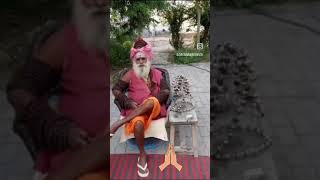 बब त मर नल Dev