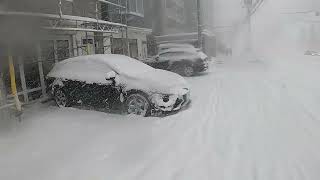 大雪が降っている札幌市内の様子①（2024/01/08）