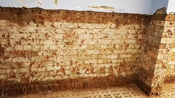 Rising Damp Solutions Sydney