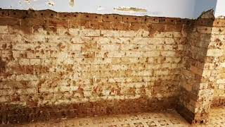Rising Damp Solutions Sydney