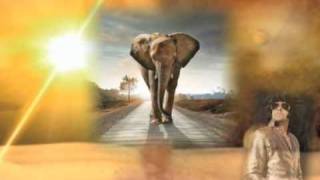 Flashes from the Other World - Book Preview