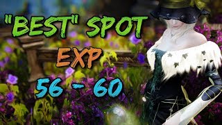 Best Grinding Spots for EXP...at lvls 56-59...in 2019 || Black Desert Online.