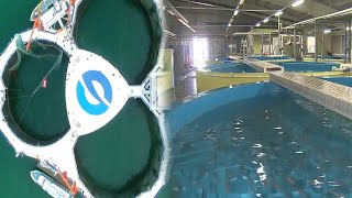 Most Advanced Smart Fish Farming Systems That Are At Another Level Smart Aquaculture