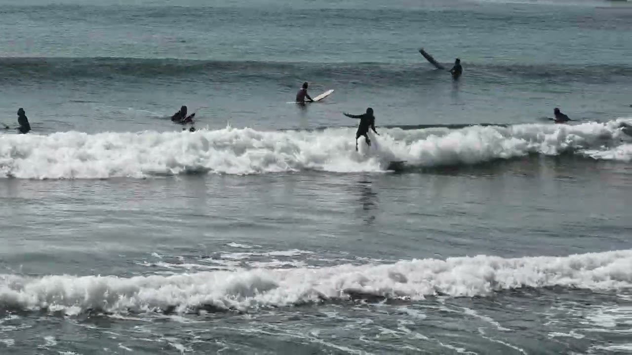日曜日の練習会2026年3月1日