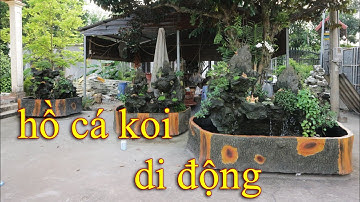 một số hồ cá koi di động kết hợp non bộ thác nước mới hoàn thành tại vườn