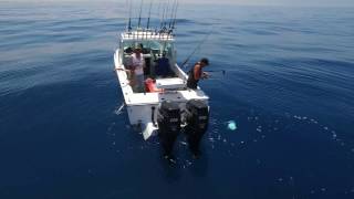 Kingfish popper fishing filmed via drone in Victoria