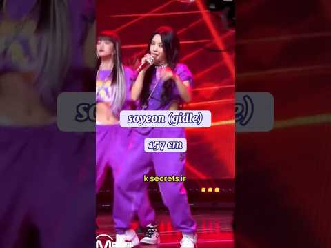 قد کوتاه ترین آیدلا کیپاپر کیپاپ آیدل بی تی اس بلک پینک