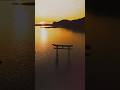 Os lugares mais lindos e Surreais do Japão 🥰#vocesabia #japão #viagem