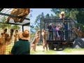 Tourists locked in cage for close encounter with hungry lions