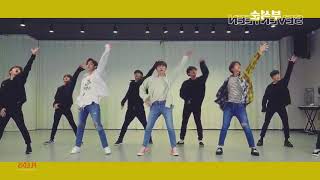 [Mirrored] BSS 부석순 (SEVENTEEN) - 'Just do it 거침없이' Mirrored Dance Practice 안무영상 거울모드