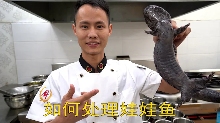廚師長教你：如何處理鮮活」娃娃魚「，過程詳細，有一步必不可少 （內有宰殺畫面，如有不適慎入） - 天天要聞