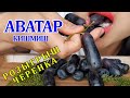 ВИНОГРАД АВАТАР КИШМИШ /GRAPES AVATAR KISHMISH, SAPPHIRE