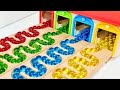Marble Run ASMR Race ☆ HABA Slope &amp; Dump Truck Excavator Ambulance Forklift Garbage Truck Tractors