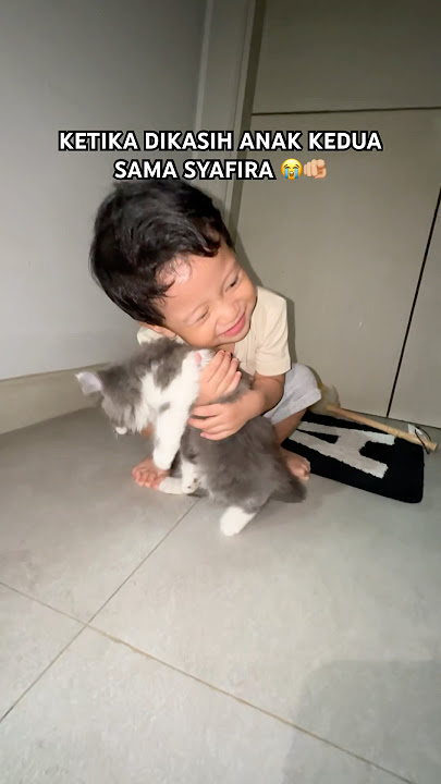 Jinji was given a cat:')