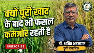 क्यों पूरी खाद के बाद भी फसल कमजोर रहती है