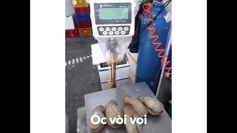 Cung Cấp Hải Sản Tươi Sống-Nhập Khẩu