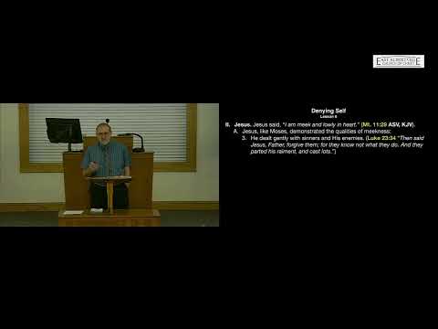 Video preview
