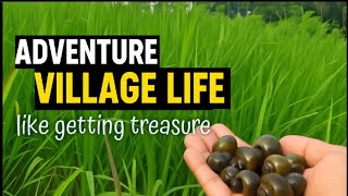 Nature’s Calm & Snail Adventures in the Village Fields,like getting treasure