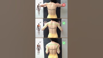 🔥Push-Ups for Chest vs. Triceps🔥