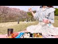 お花見弁当を作ってピクニックに行く｜Picnic under the cherry blossom trees with homemade lunch boxes| Japan VLOG