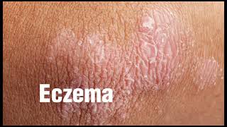 Bioserica Antibacterial Socks