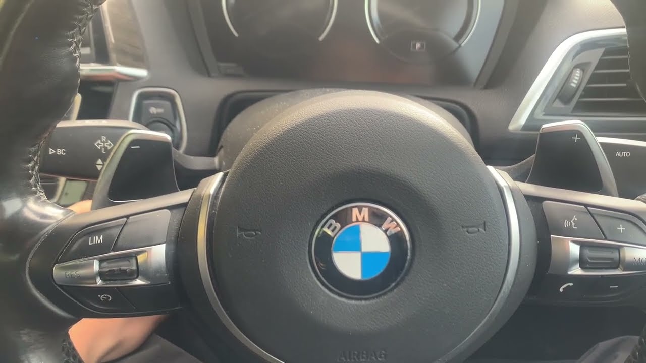 BMW Hidden Menu Secret: How to Check Engine & Oil Temp (F20/F22 2 Series)