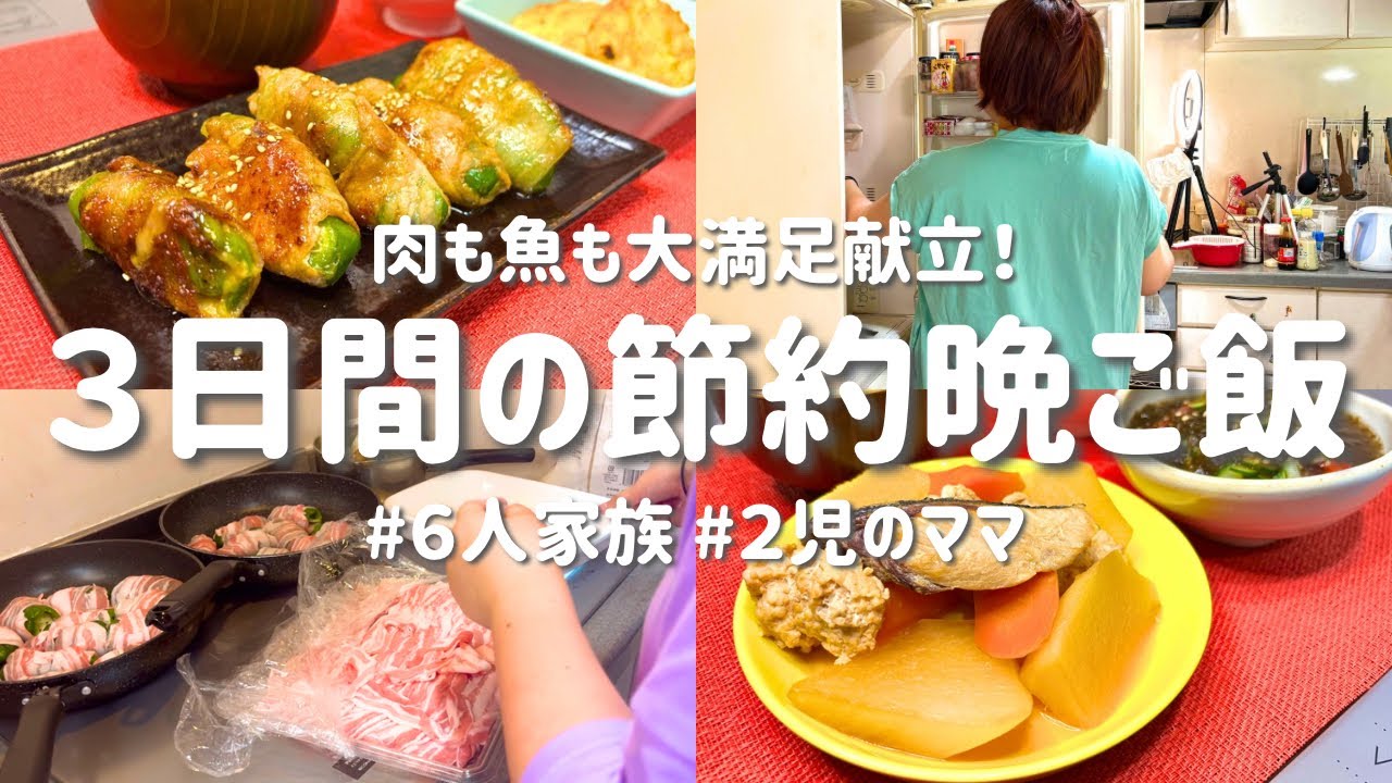 【中古】 お肉とお魚と野菜の50円＆80円ヘルシーおかず246レシピ お肉とお魚と野菜の50円&80円ヘルシーおかず246レシピ インデックス