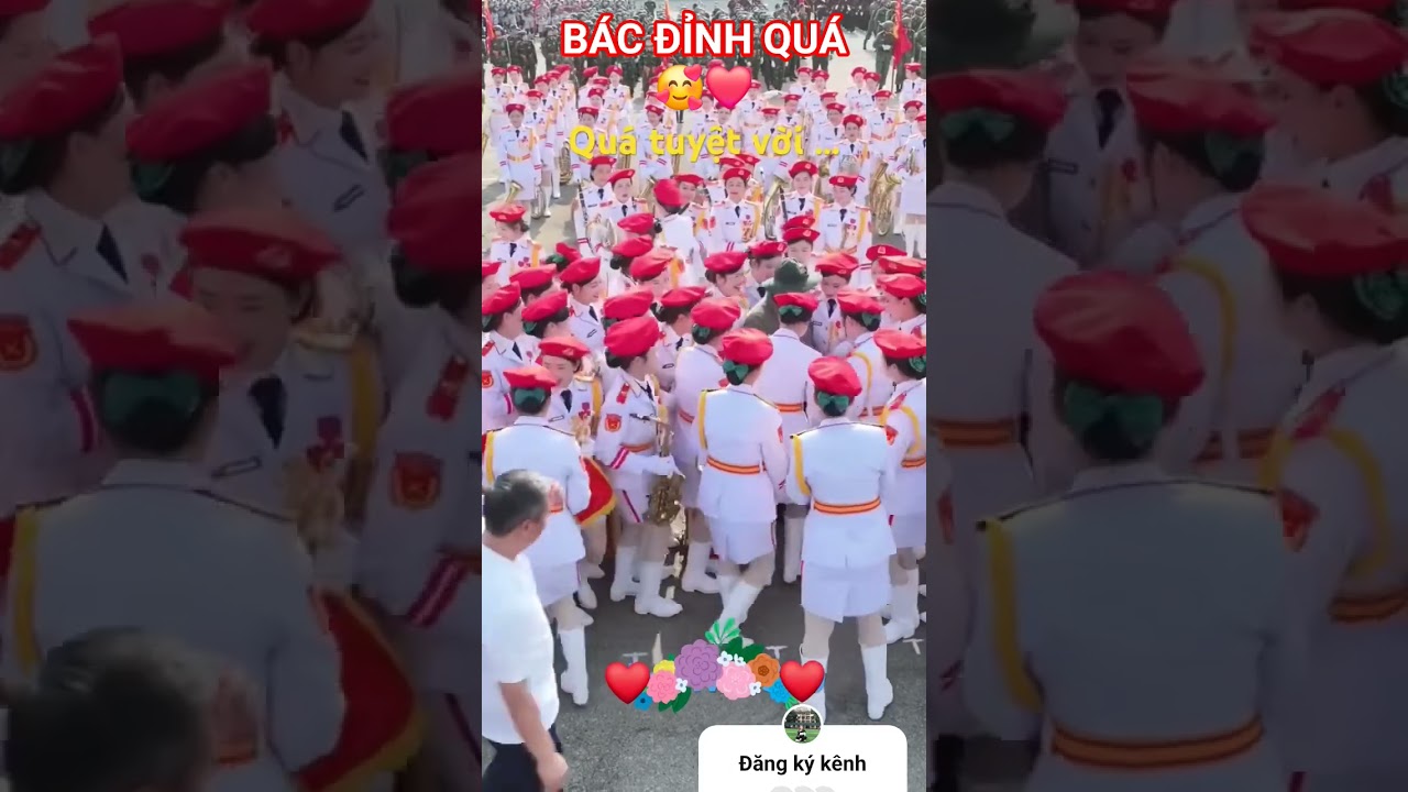 Việt Nam trong tim tôi 236❤️🇻🇳🇻🇳🇻🇳🇻🇳🇻🇳🇻🇳🇻🇳🇻🇳🇻🇳🇻🇳