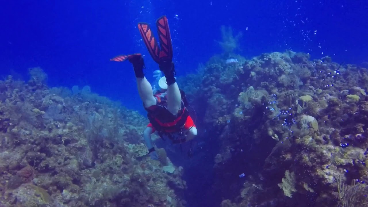 Scuba diving the wall at Grand Cayman YouTube