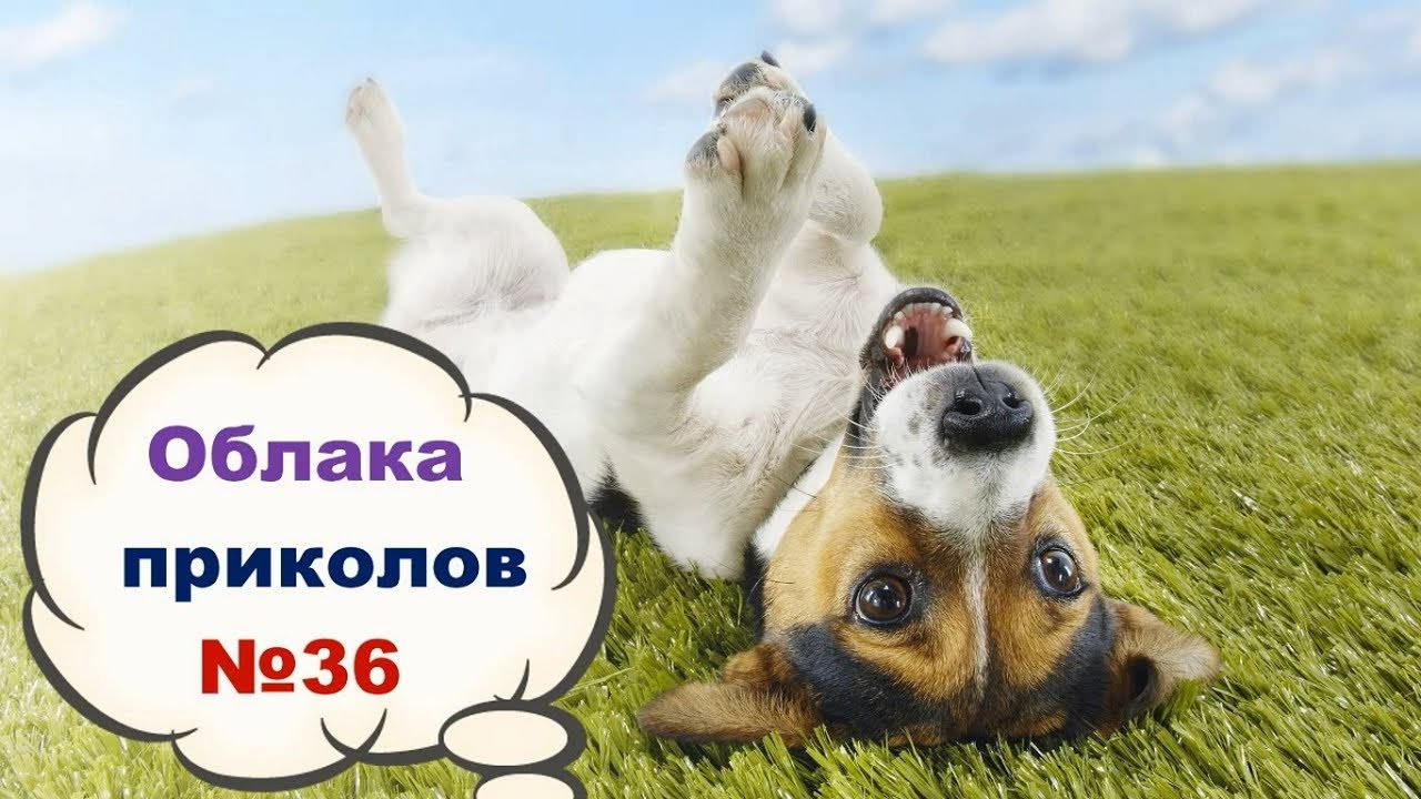 Долгожданный день Долгожданный день