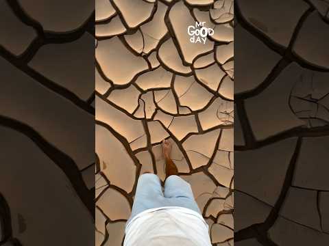Desert Pattern After Rainstorm #shorts