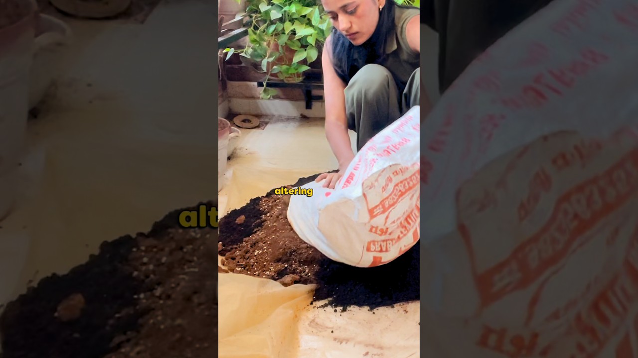 😳 Это действительно так 