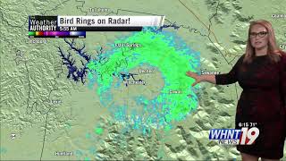 What are those rings on radar?