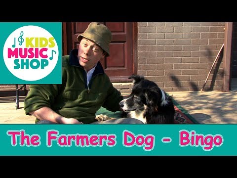 The Farmer's Dog - Bingo