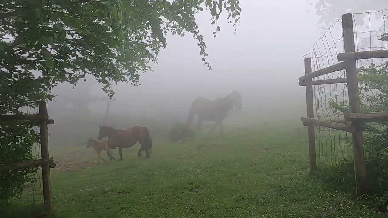 Macizo de Itxina, ojo de Atxular y cueva de Supelegor.