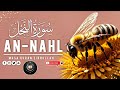 سورة النحل آية 111 سے 118 ترجمہ تفسیر #قران #الكريم #الله #المدينة# المنوره# Musa Quran Zikrullah