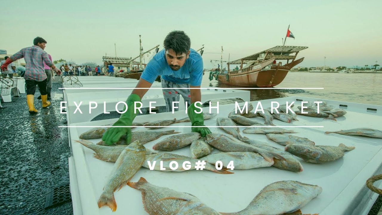 Ajman Fish Market Amazing Fish Market In UAE YouTube ajman-fish-market-amazing-fish-market-in-uae-youtube