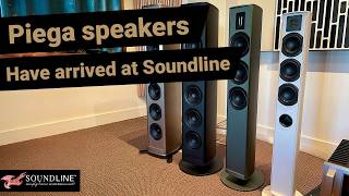 Piega arrives at Soundline   speaker unboxing