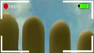 Sfm Mlp Eqg Pov Feet So You Like Sunsets Feet