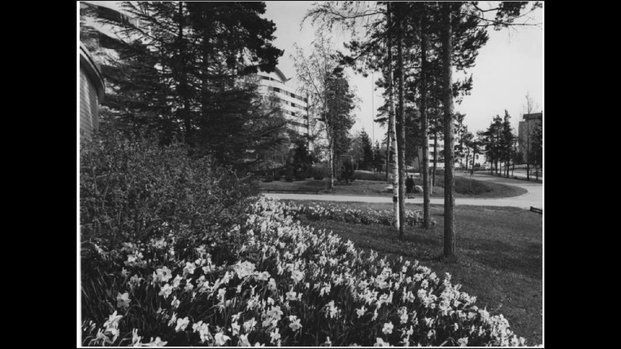 NPS - FFDM Oh Yeah! / To Skepticism