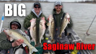 Saginaw River Walleye Fishing 3/16/23! 4 man limit of BIG walleyes and a bunch of cats!