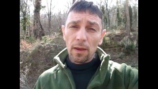 Пальма в открытом грунте Крым Россия.(, 2016-03-05T15:16:49.000Z)